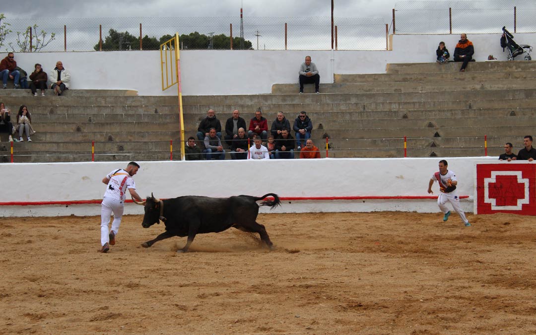 Una de las parejas del concurso tratando de colocar una anilla a una vaquilla / E.P