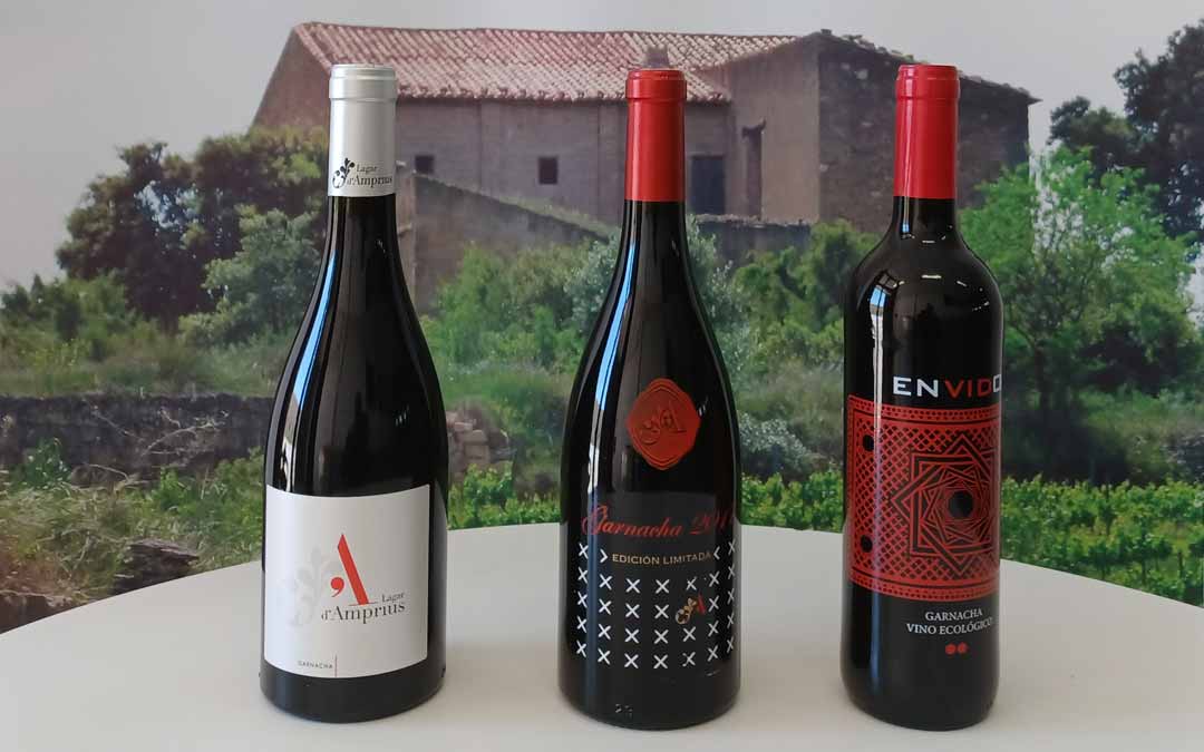 Imagen de los tres vinos ganadores./ L.C.