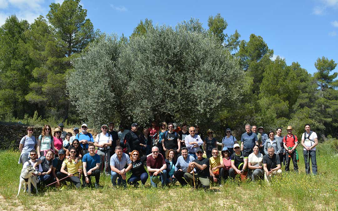 Foto de grupo de todos los asistentes a la ruta por Belmonte de San José a los pies de la Olivera de Cervera./ Alicia Martín