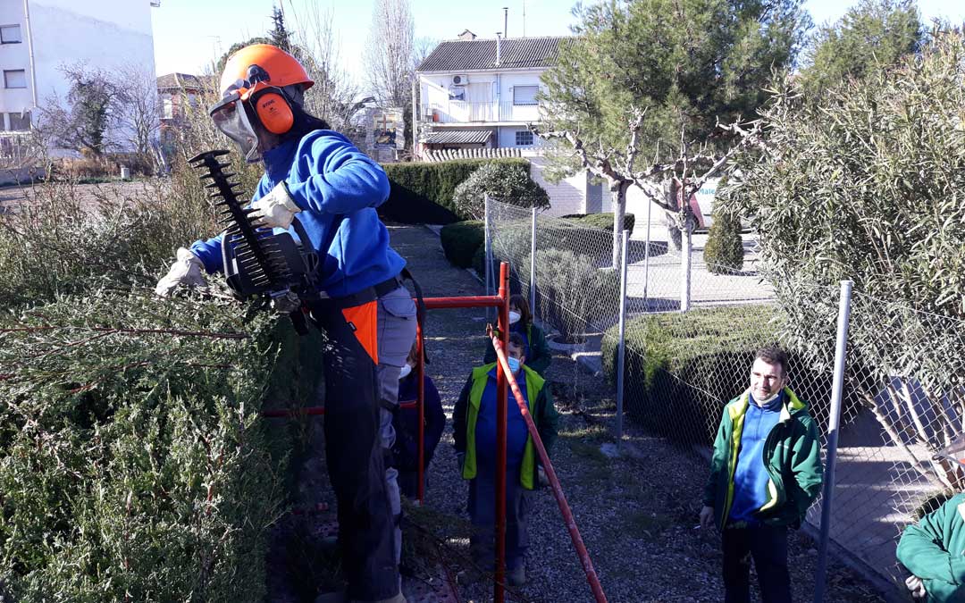 Recortando setos en el centro de día comarcal de La Puebla. / Taller de Empleo