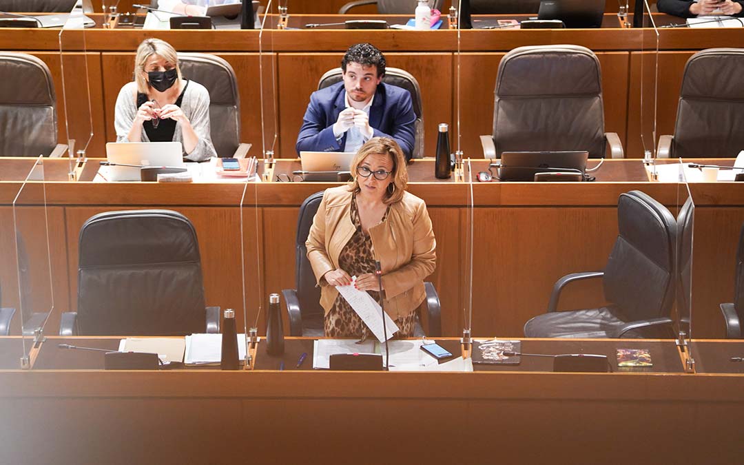 Mayte Pérez en las Cortes de Aragón./Cortes de Aragón
