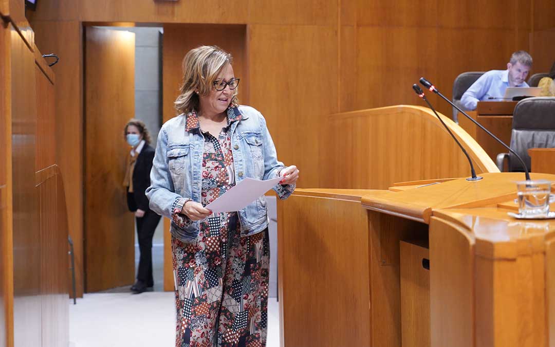 La consejera de Presidencia, Mayte Pérez, defendió este jueves en las Cortes el proyecto de ley de Dinamización del Medio Rural / Cortes de Aragón