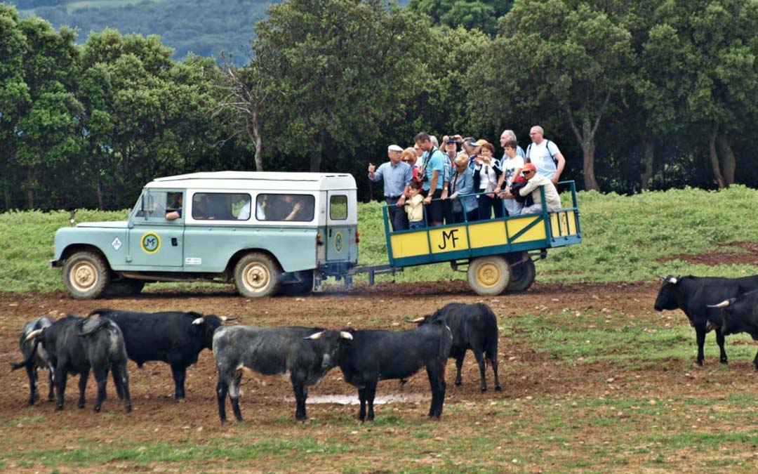 Visita de la Peña Taurina a la Ganadería Los Maños. Los viajes a distintas ganaderías son una de las prioridades./ Peña Taurina