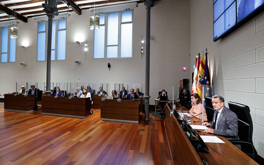 Imagen del pleno extraordinario de este viernes de la DPZ / DPZ