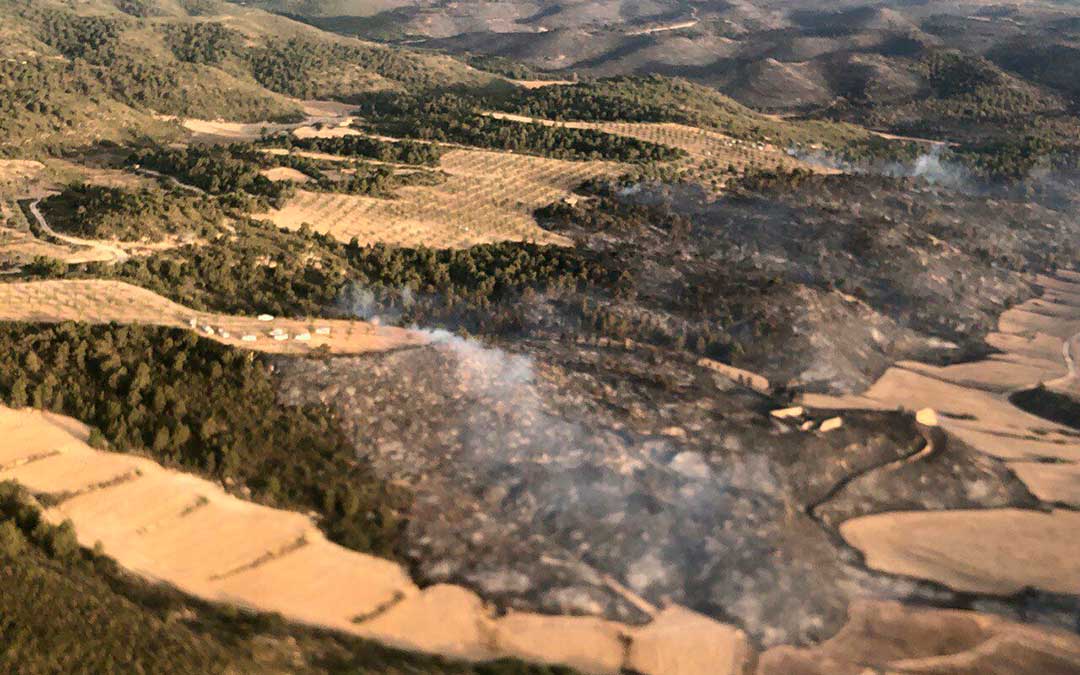 En total han ardido alrededor de 2.000 hectáreas, la mitad de ellas de masa forestal en Nonaspe./ DGA