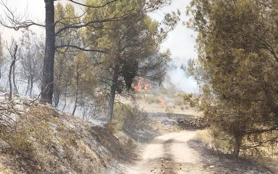 Imagen del incendio en Nonaspe este viernes al mediodía / DGA