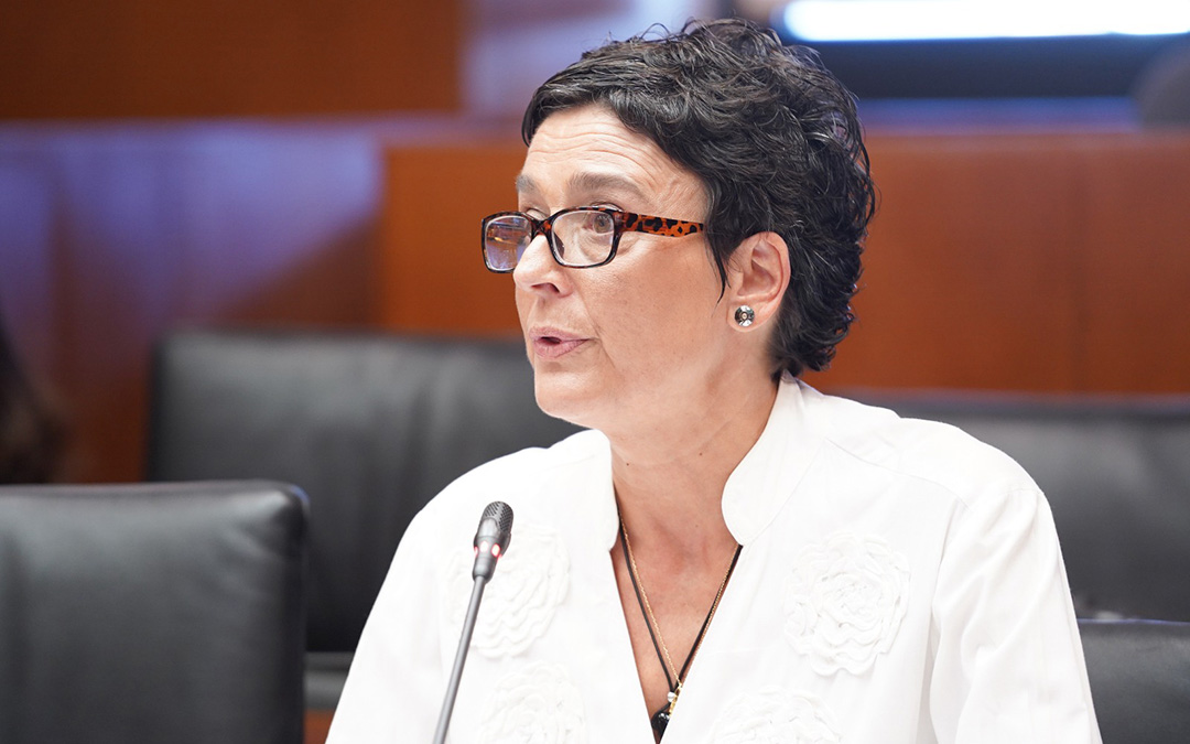 La portavoz de Sanidad del Grupo Popular en las Cortes de Aragón, Ana Marín./ PP