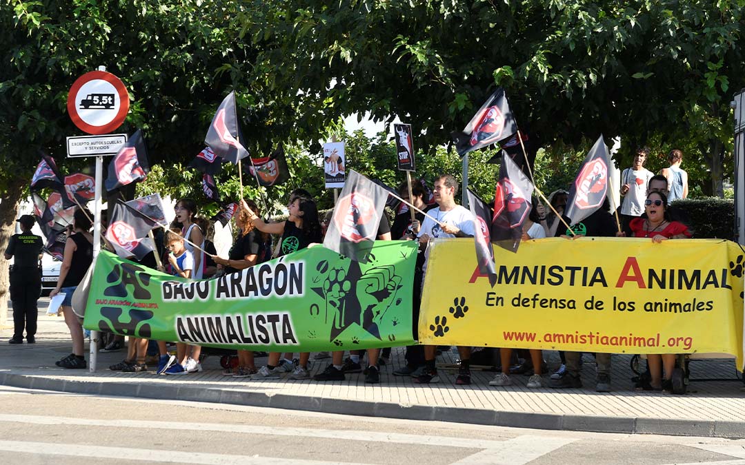 Concentración antitaurina de Bajo Aragón Animalista en la plaza Joaquín Costa./ L.C.