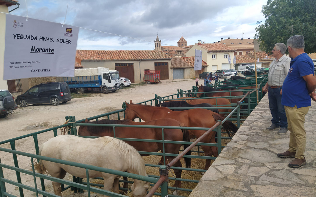 La exhibición de ganado equino concentró a numerosos curiosos ante un cielo que amenazaba tormenta.