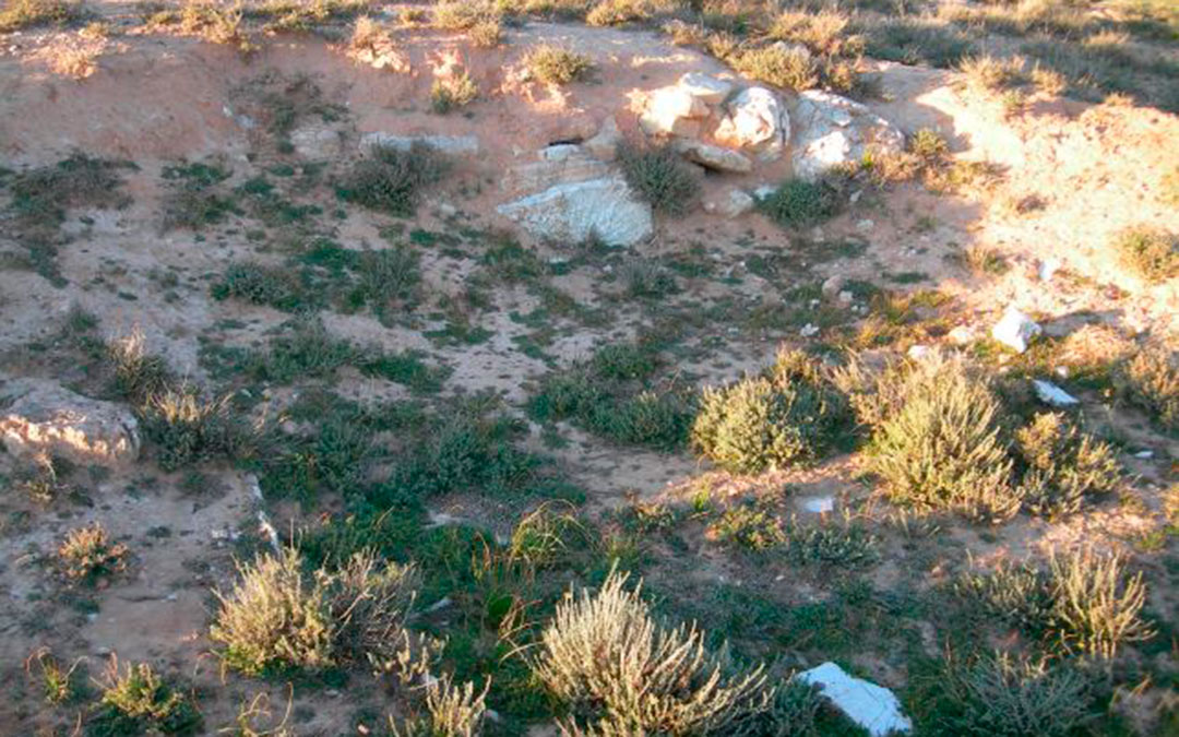 En la zona del despoblado solo pueden verse restos y fragmentos de muro de habitaciones de viviendas. / Ayto. Vinaceite