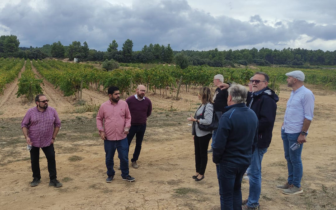 Los viñedos de Amprius Lagar fueron el escenario de la visita que contó con la presencia del diputado Diego Piñeiro, el presidente comarcal y los alcaldes de Calaceite, Arens de Lledó y Cretas./DPT