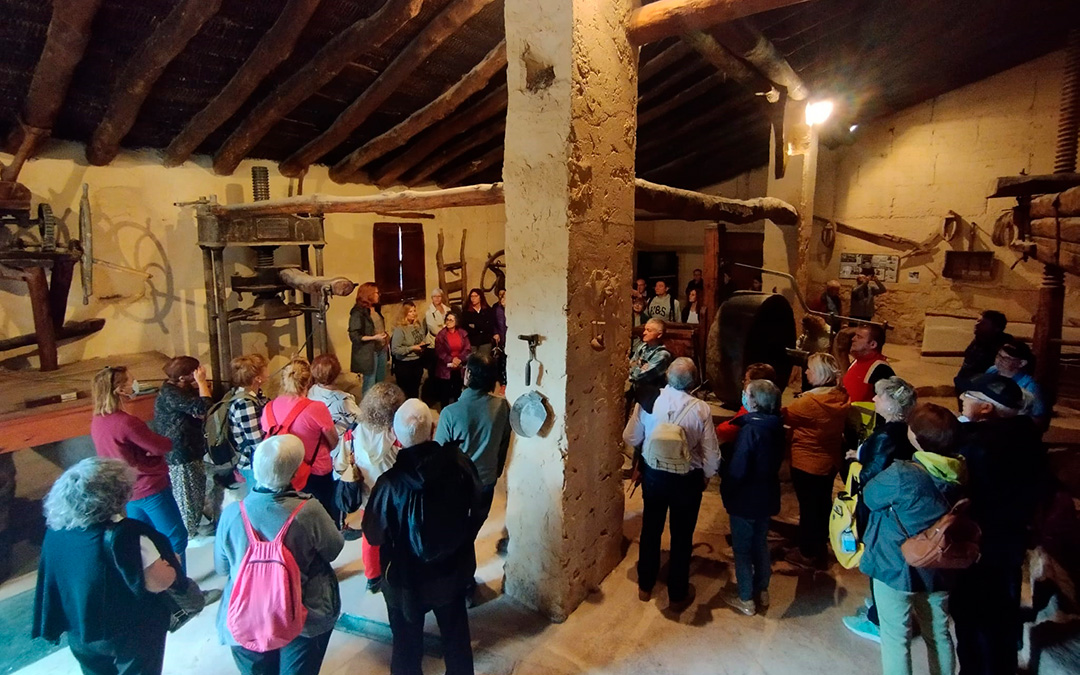Visita a la almazara de Jaganta. / Comarca Bajo Aragón