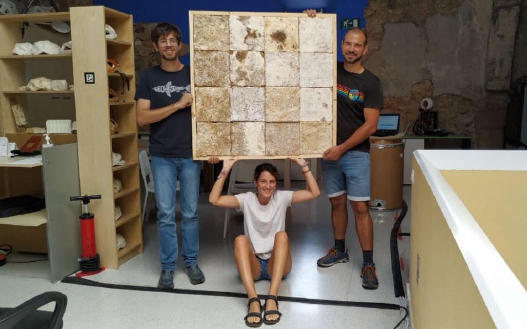 Una de las visitas de campo será al laboratorio BIVO, ubicado en la ermita de Santa Bárbara./ Omezyma
