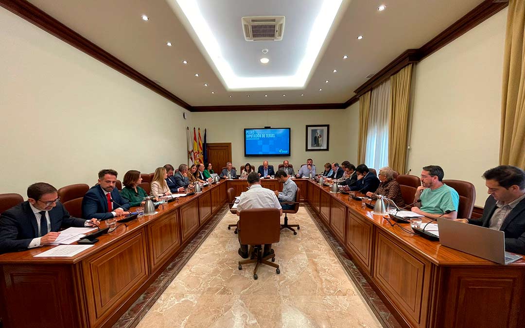 Pleno de la DPT este miércoles./ DPT