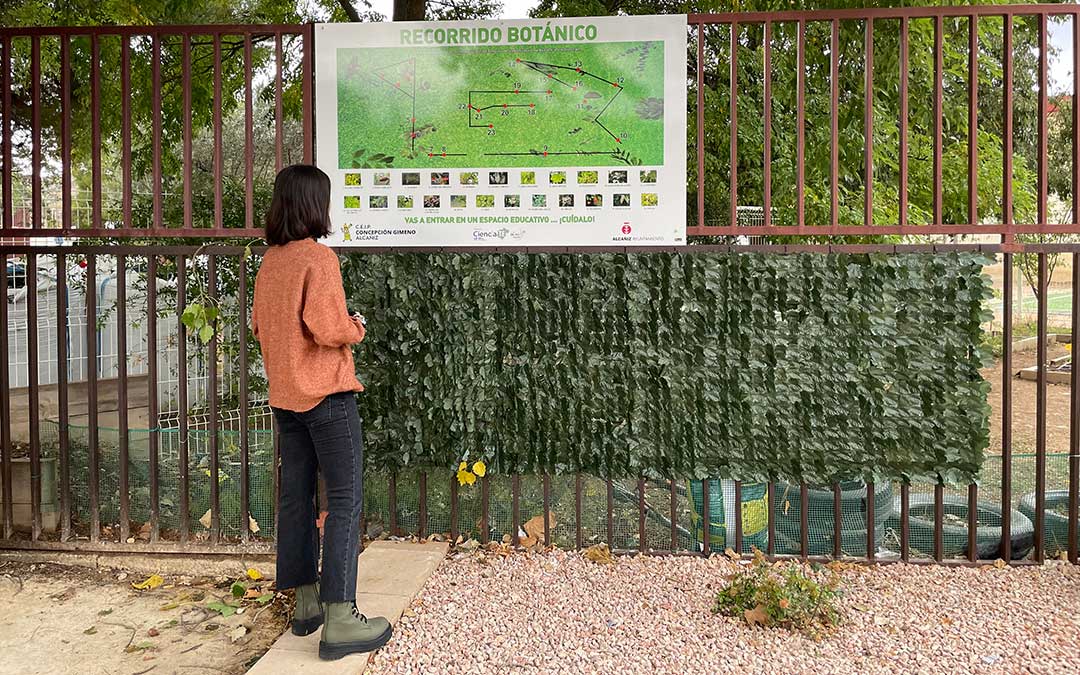 Un mapa con las diferentes especies inicia el recorrido en el exterior del colegio Concepción Gimeno./ María Celiméndiz