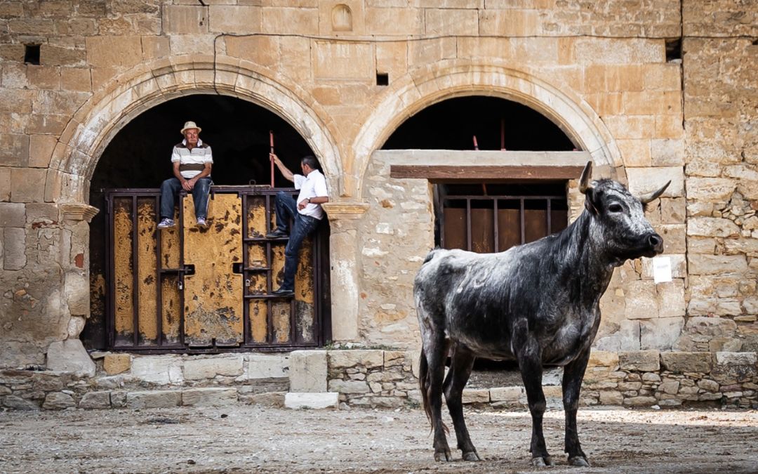 Tercer premio, «Festejo» de Carlos Puértolas Villa./ Comarca del Maestrazgo.