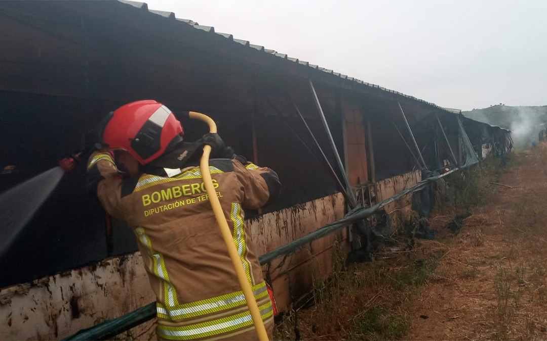 Actuación de los Bomberos de la DPT en Valdeltormo./ Bomberos DPT