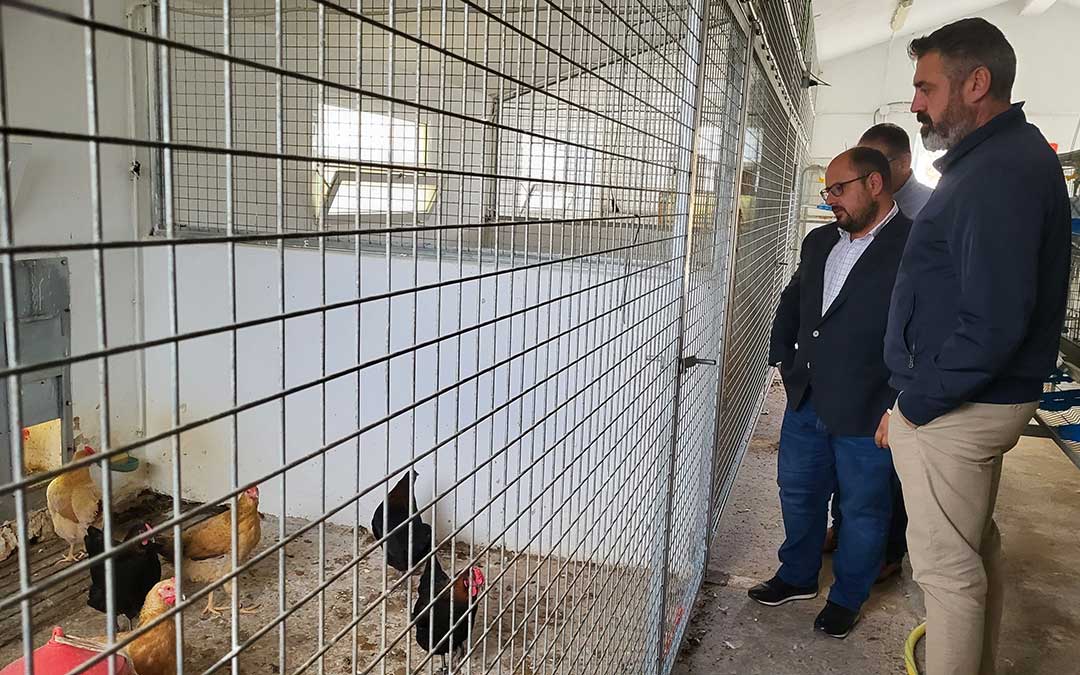 Alberto Izquierdo y Antonio Pérez, visitando las instalaciones en las que se lleva a cabo el programa de recuperación de la gallina serrana./ DPT