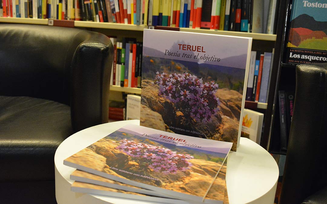 Libro 'Teruel, poesía tras el objetivo'. I.M