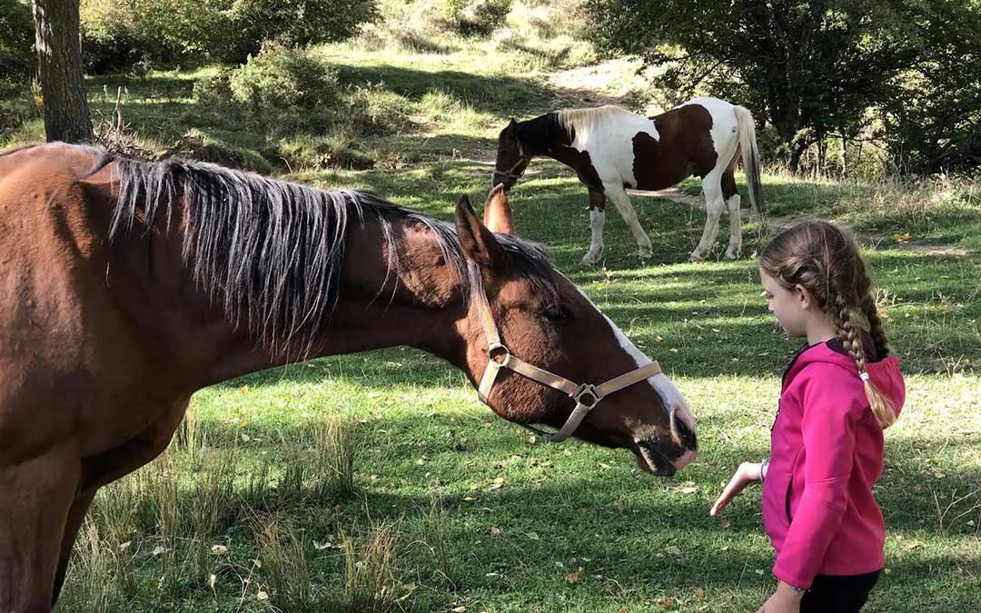 "Safari rural" en Casa Rural Chulilla de Villarroya de los Pinares./ Comarca del Maestrazgo