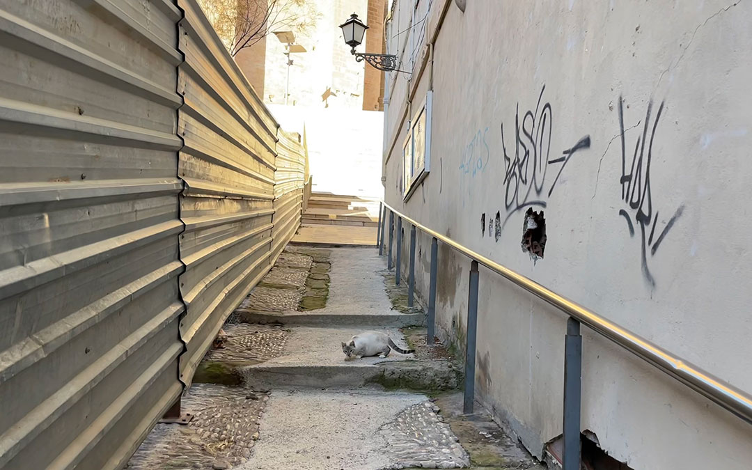 Un gato callejero en el casco antiguo de Alcañiz./ M. Celiméndiz