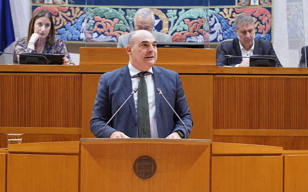 Intervención de Gracia Suso en las Cortes./ PP Aragón