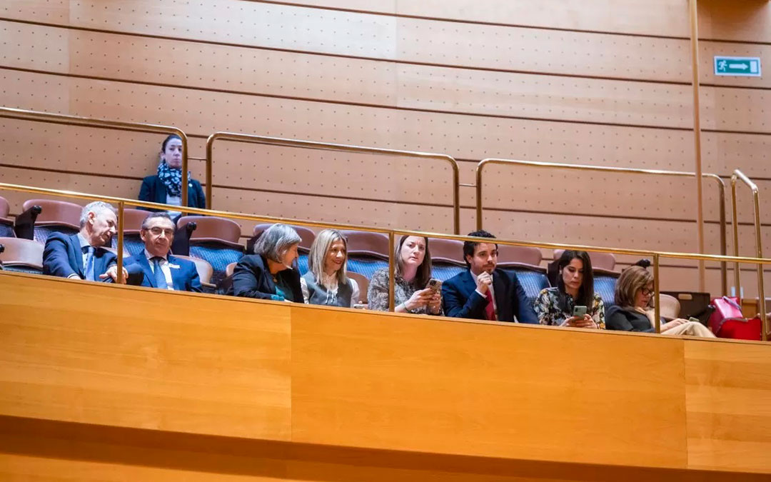 Una delegación de las Cortes aragonesas ha estado presente durante el debate en el Pleno del Senado que ha dado definitivamente el visto bueno a la reforma./ EFE