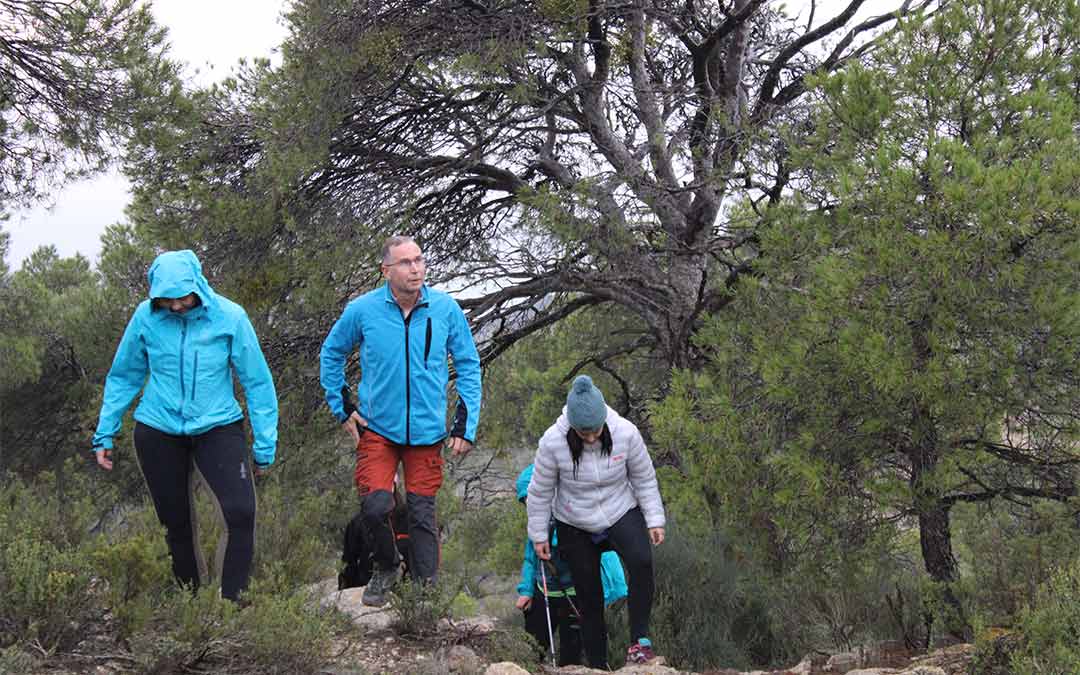 Algunos participantes durante la andada./ P.S.