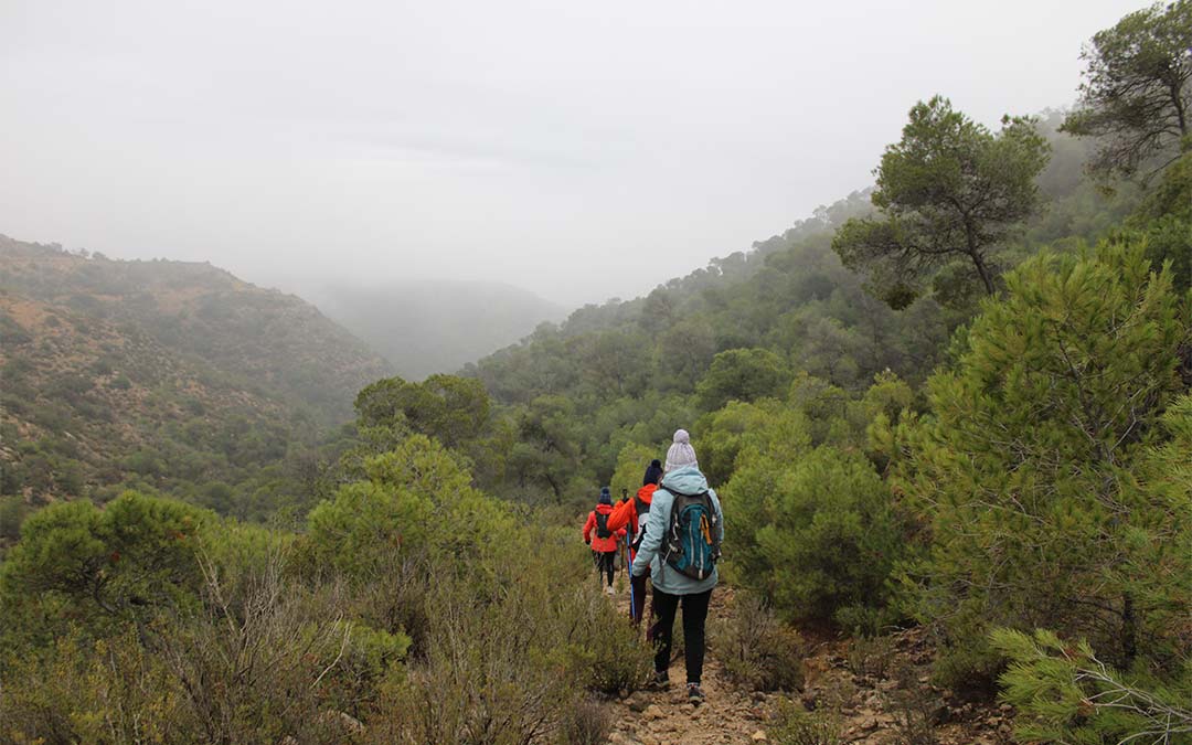 A pesar de la niebla, se podía vislumbrar el bonito paisaje del monte caspolino./ P.S.