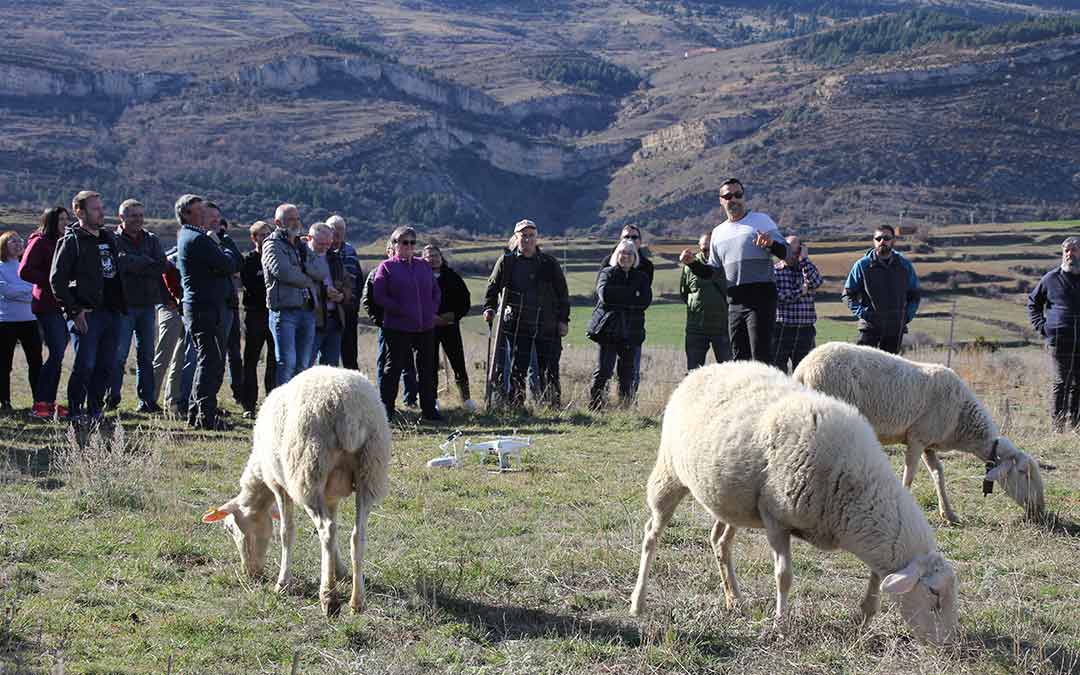 Demostración este jueves del manejo de drones en ganadería extensiva en Cantavieja./N. Altaba