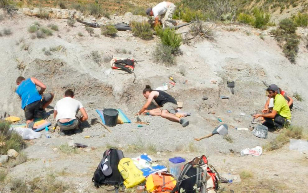 Excavación que ha permitido identificar la nueva especie de dinosaurio./ Grupo Aragosaurus-Universidad de Zaragoza