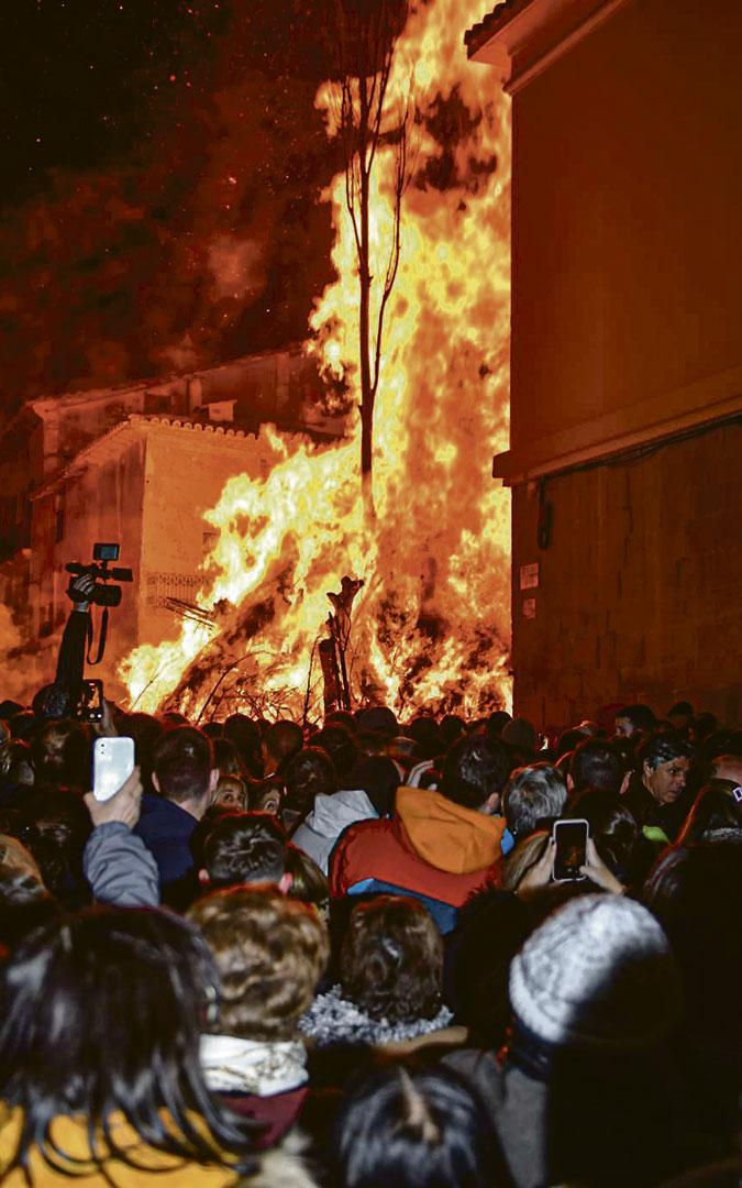 Lenguas de fuego recorrieron los 20 metros del álamo en la plaza del Rollé anoche./ Laura Castel