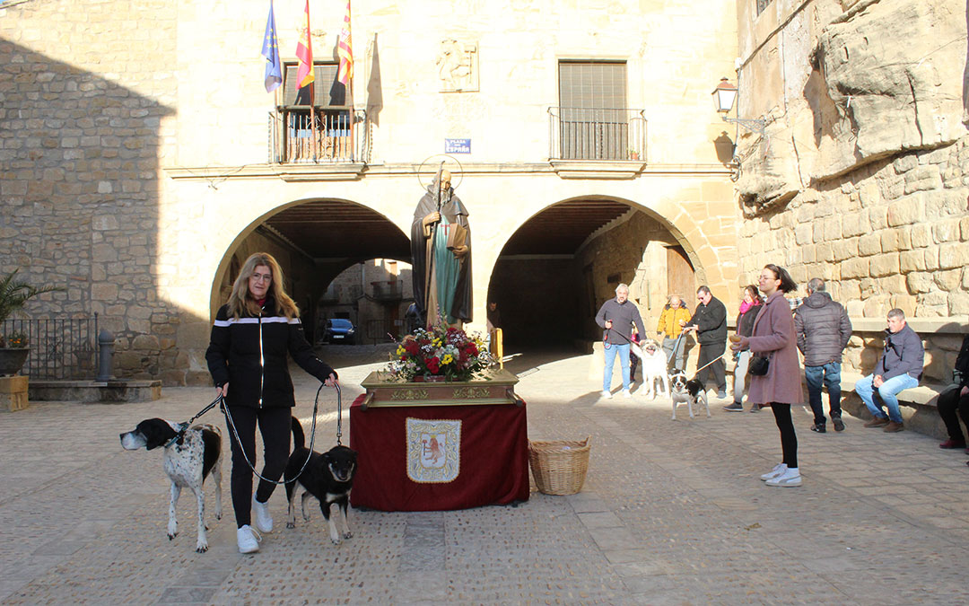 San Antón en Mazaleón con el pan bendito, procesión y los tres tombs en torno al santo. / B. Severino