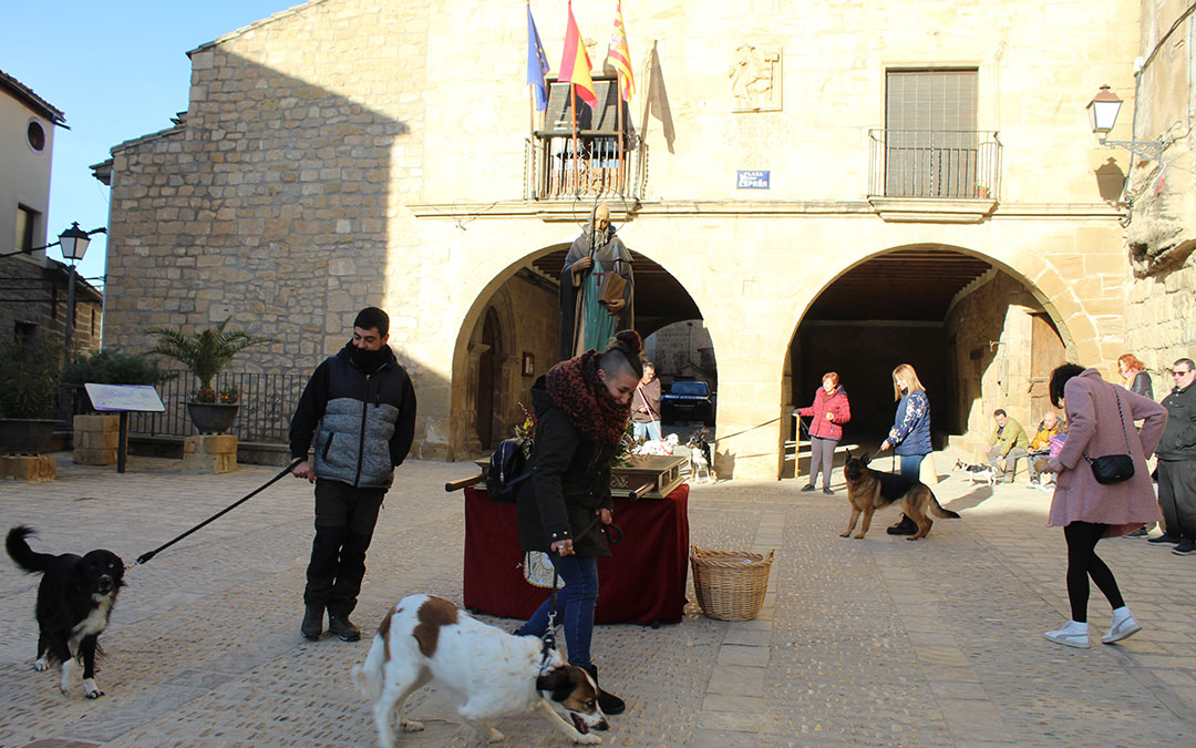 San Antón en Mazaleón con el pan bendito, procesión y los tres tombs en torno al santo. / B. Severino