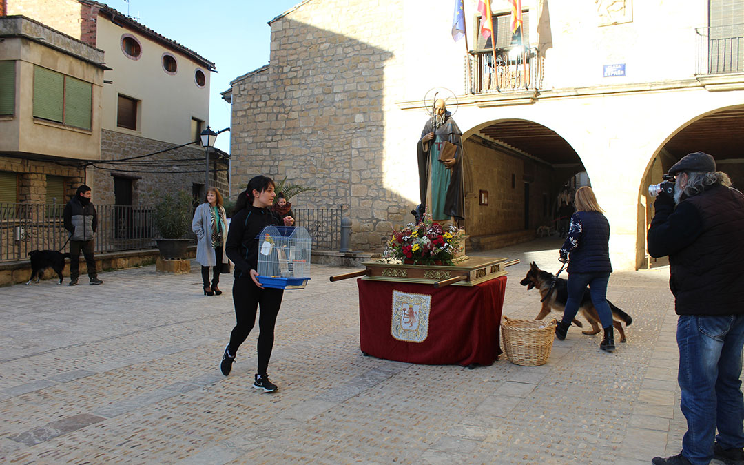 San Antón en Mazaleón con el pan bendito, procesión y los tres tombs en torno al santo. / B. Severino