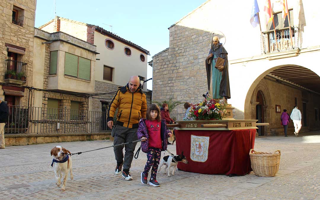 San Antón en Mazaleón con el pan bendito, procesión y los tres tombs en torno al santo. / B. Severino