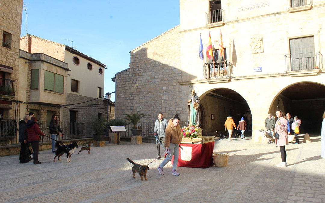 San Antón en Mazaleón con el pan bendito, procesión y los tres tombs en torno al santo. / B. Severino