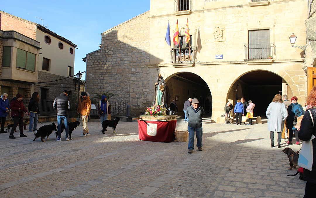 San Antón en Mazaleón con el pan bendito, procesión y los tres tombs en torno al santo. / B. Severino