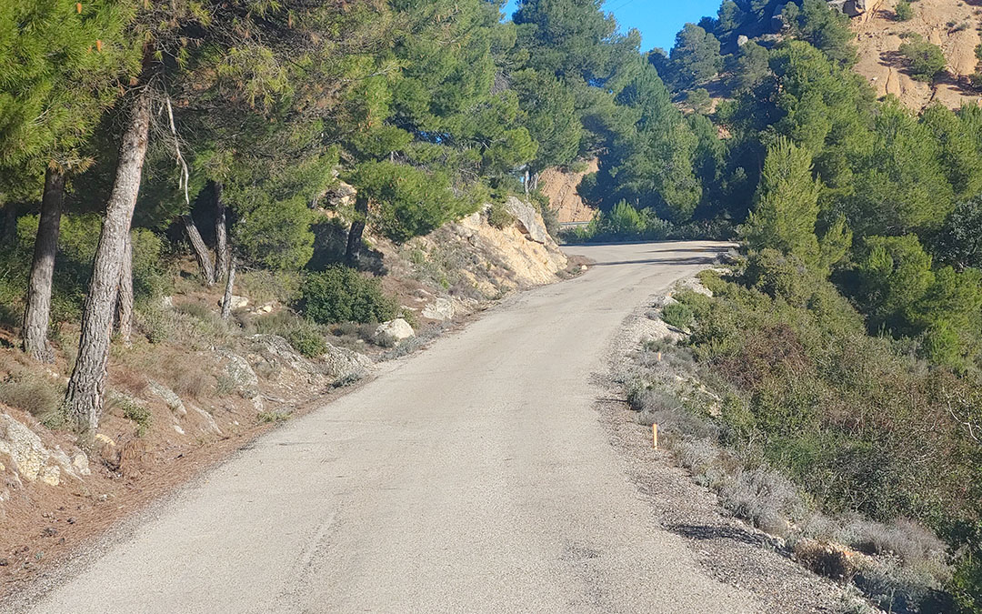 La carretera se encuentra actualmente en muy mal estado. /J.L.