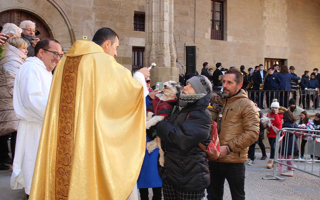 Celebración de San Antón este domingo en Alcañiz / E.Peralta