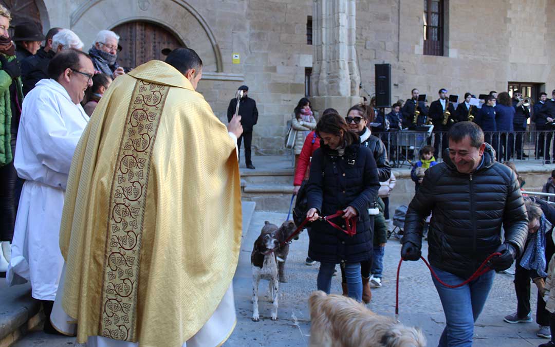 Celebración de San Antón este domingo en Alcañiz / E.Peralta