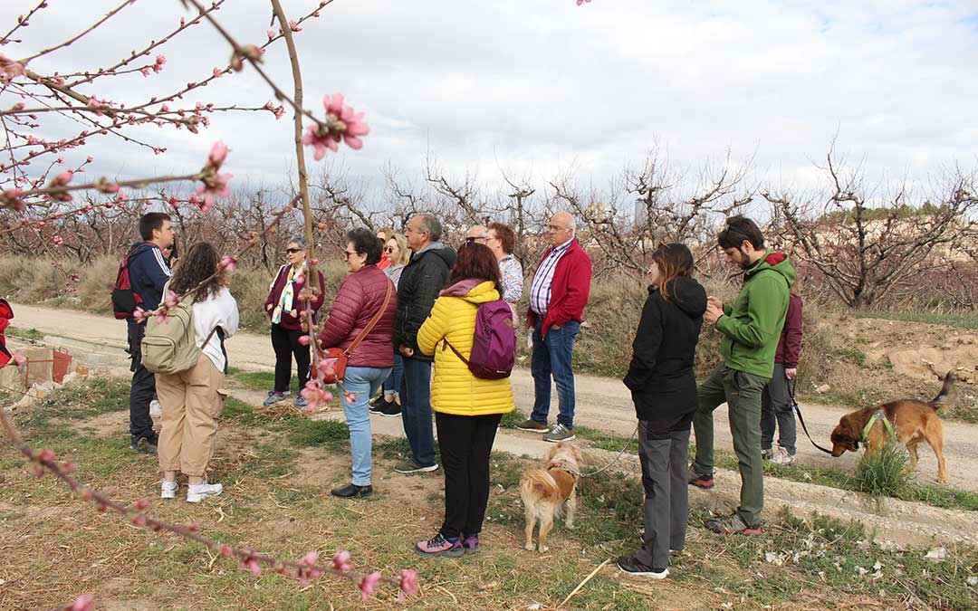 Explicaciones a pie de campo de melocotón. / B. Severino