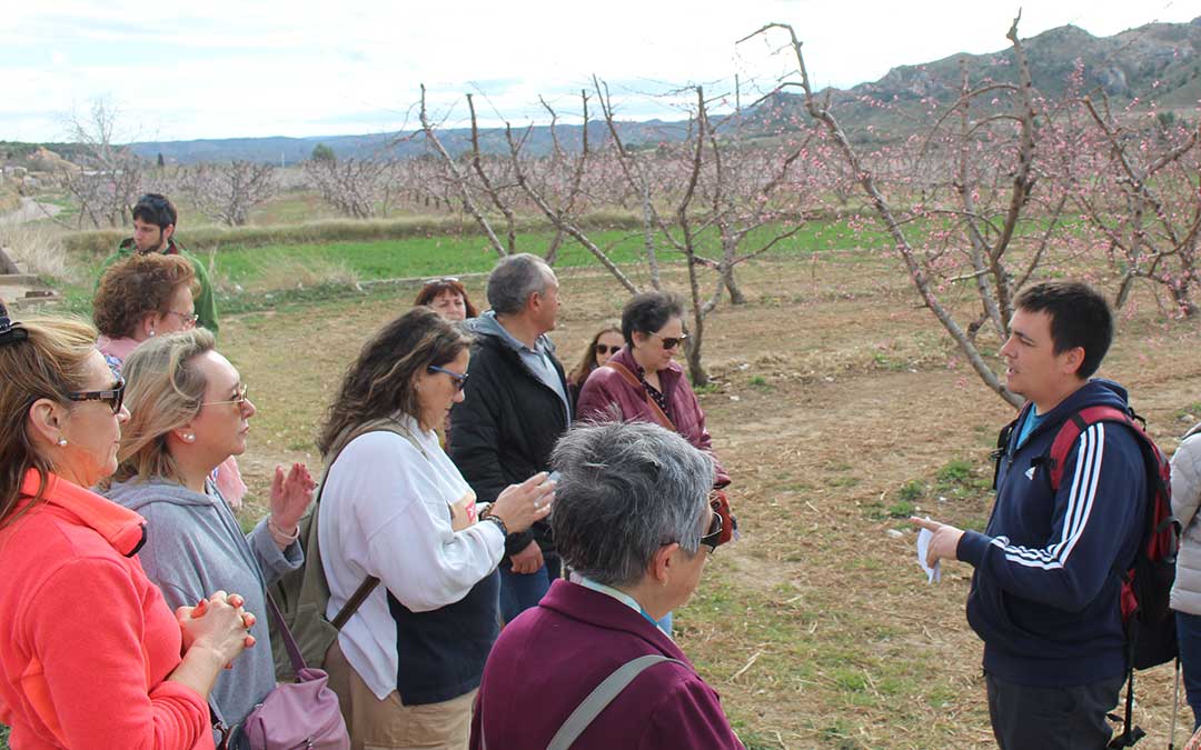 Explicaciones a pie de campo de melocotón. / B. Severino