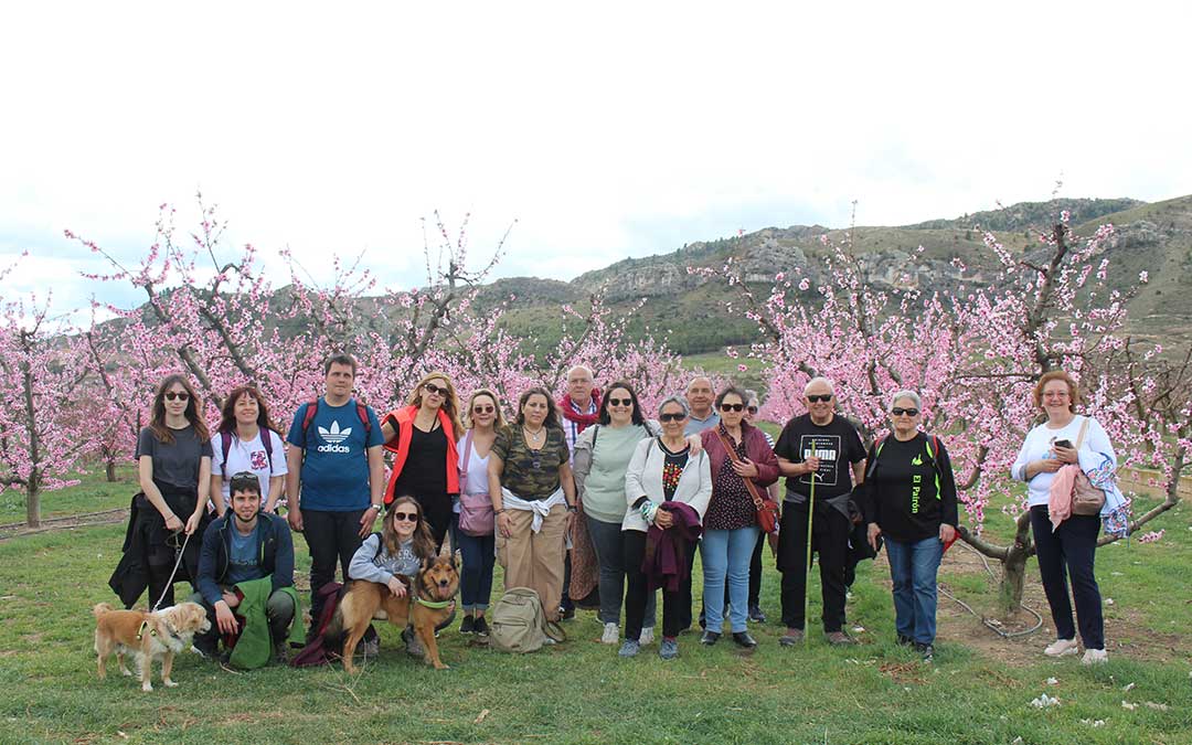 Parte de los participantes de la ruta de la Floración de los Melocotoneros en Calanda. / B. Severino