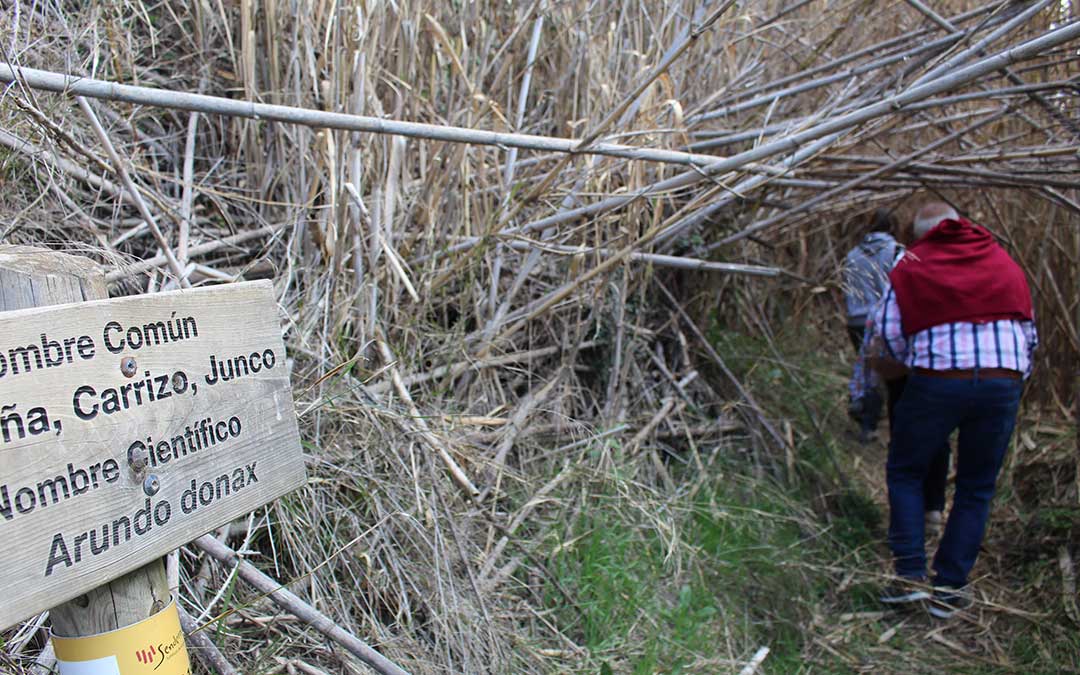 Un túnel natural de cañas. / B. Severino