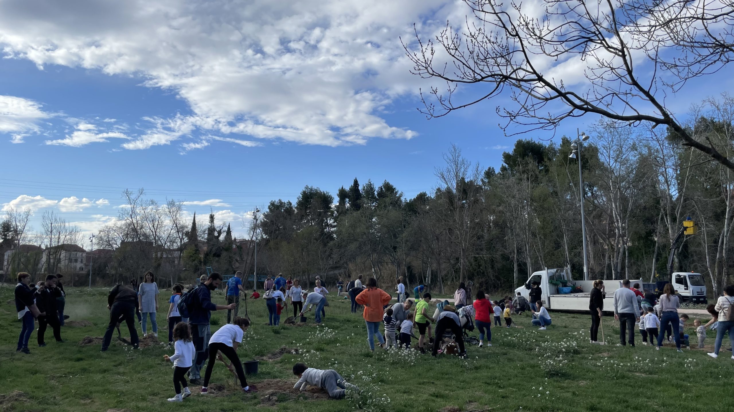 La plantada se ha llevado a cabo justo al lado del monumento de los Scouts./ M.C.