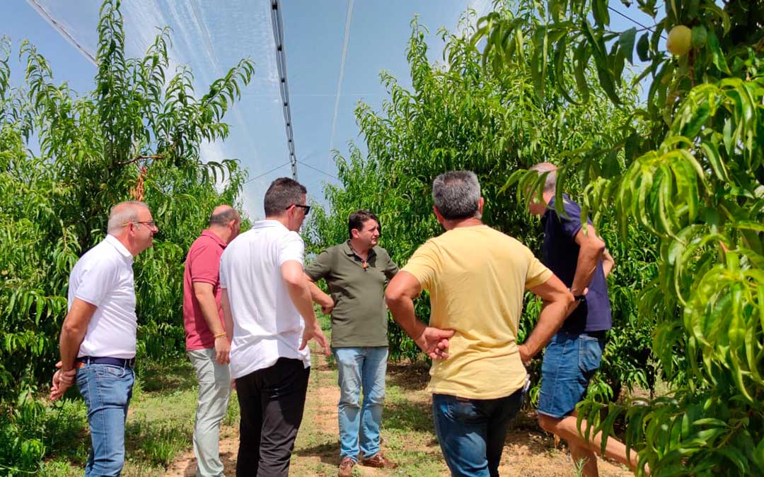 Alberto Herrero y otros cargos populares han visitado este domingo a los agricultores de Puigmoreno para conocer los datos del pedrisco / PP