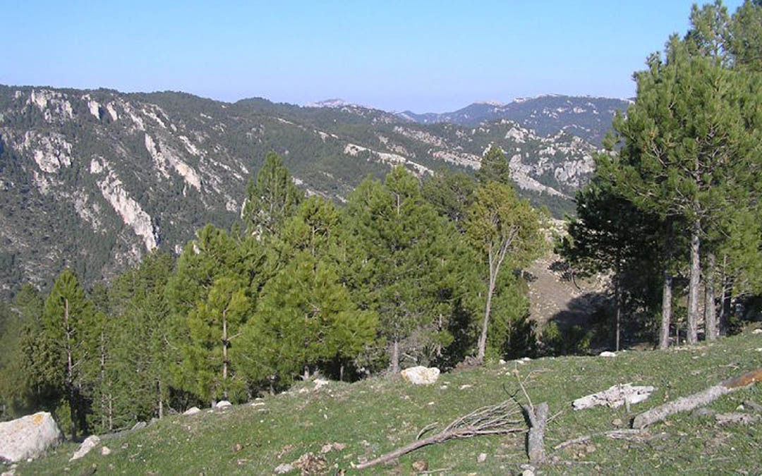 Imagen de una zona limítrofe de Aragón y Cataluña entre Beceite, en el Matarraña, y la vecina comarca del Baix Ebre./ J.L.