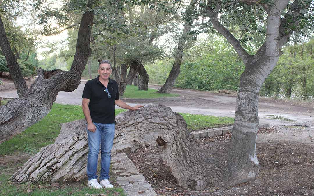 Fernando Taberner, nuevo alcalde de Nonaspe, posa junto a un curioso árbol del entorno de su pueblo./ P.S.