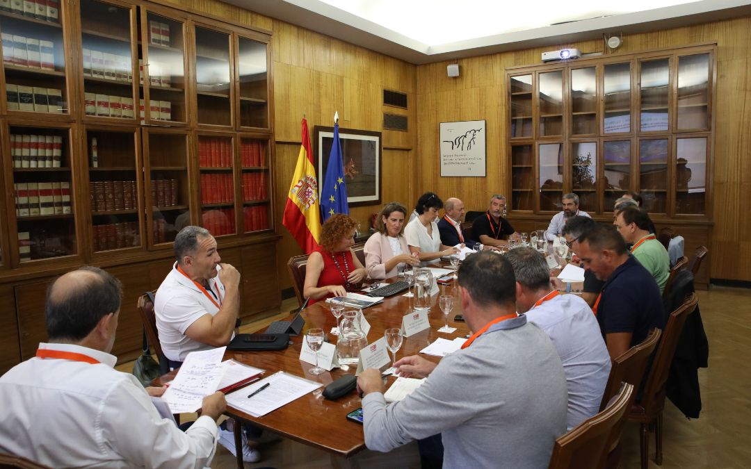 Reunión de Teresa Ribera con la Comisión de Seguimiento del Acuerdo Marco para la Transición Justa de la Minería del Carbón 2019-2027./ La COMARCA.